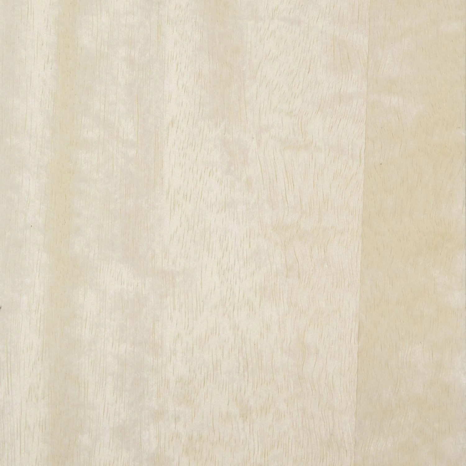 CATENA Console — Natasha Baradaran